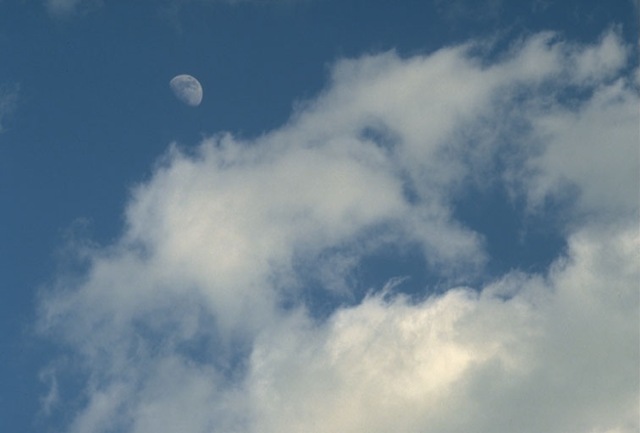 [cloud_1242.jpg]