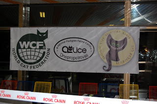 DSC_0010.JPG