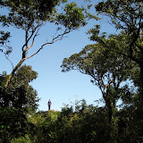 Gunung Tampomas
