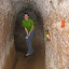 Gill in the tunnels