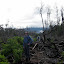 Andy, getting closer to the forest