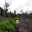 Gill, almost at the forest!
