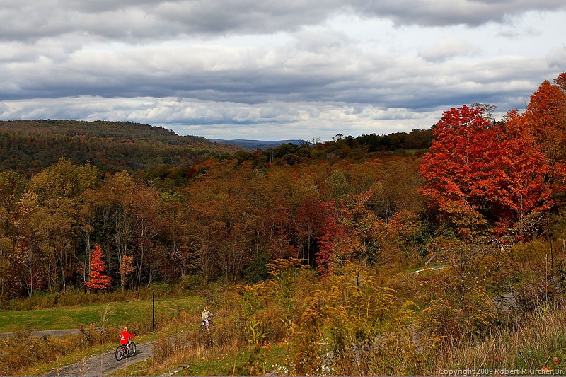 [20091023 Firewood-0021[6].jpg]