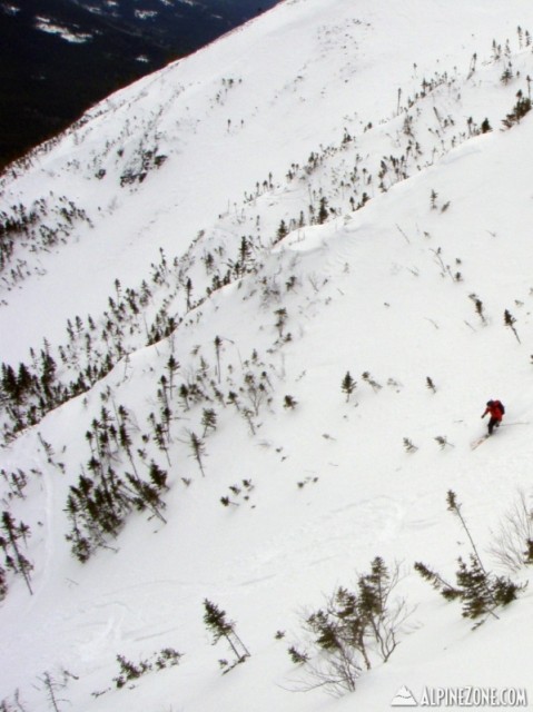 P3160259_2_.jpg