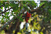Thekkady_LakePalace_Aug2006-2-0570-edited.jpg