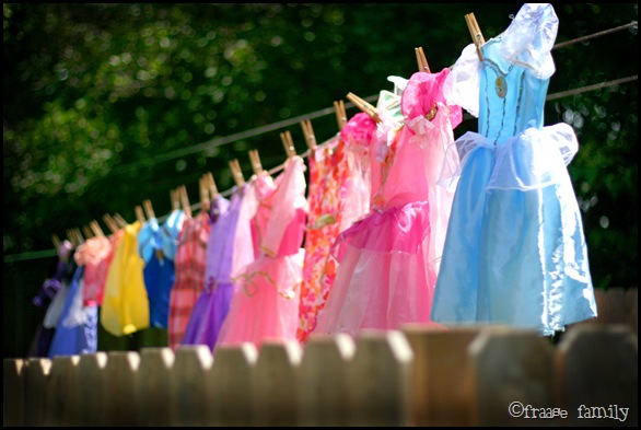 princesslaundry5 princesslaundry5