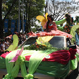 Corso de las Flores 2009