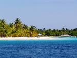 [morrocoy[5].jpg]