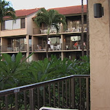 IMGA0167.JPG