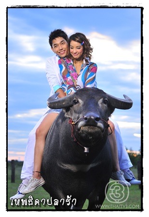 gallery_1258962844
