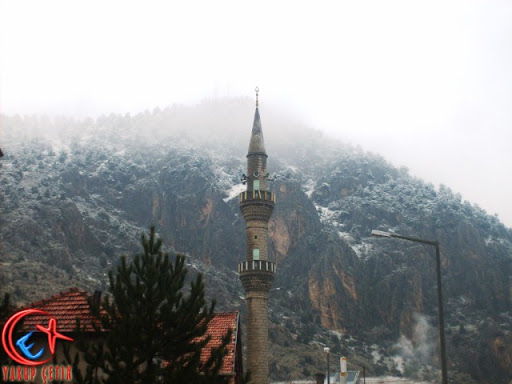 ���meyen a�a� kald� ise onlarda ���d�.