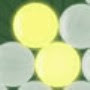 Light Up