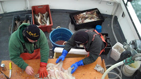 cod filet.jpg