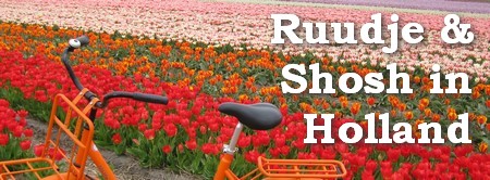 Welcome to Ruudje's Weblog!!