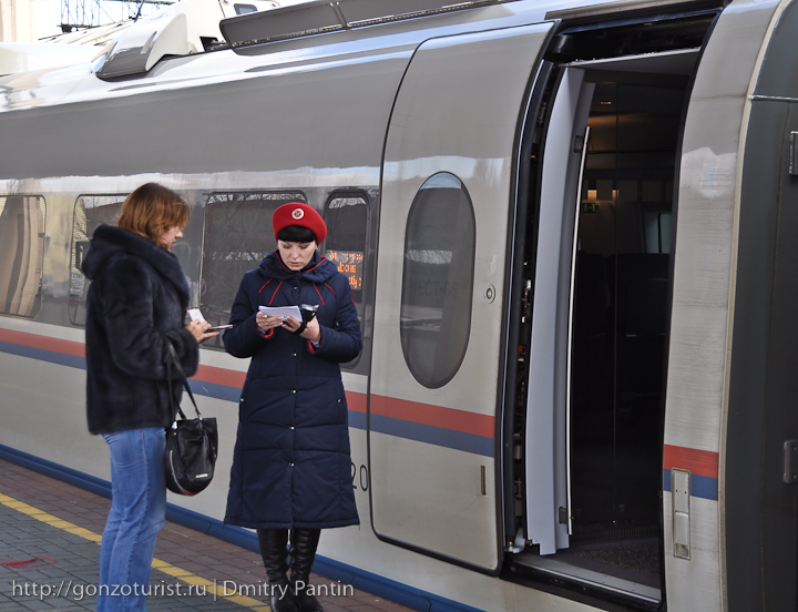 Сапсан железнодорожная птица 20090323 DSC 0169 Сапсан железнодорожная птица