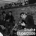 Snake: Intimo y Acustico