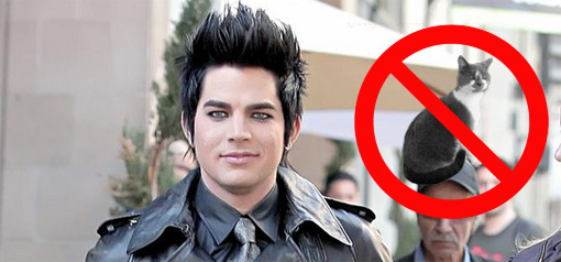 Adam Lambert don't do p***y Adam Lambert don't do p***y
