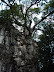 Der kleinste Berg im Park