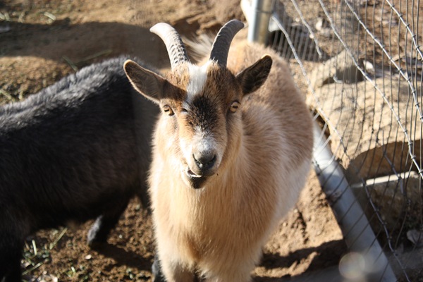 [DPP_00018771[2].jpg]