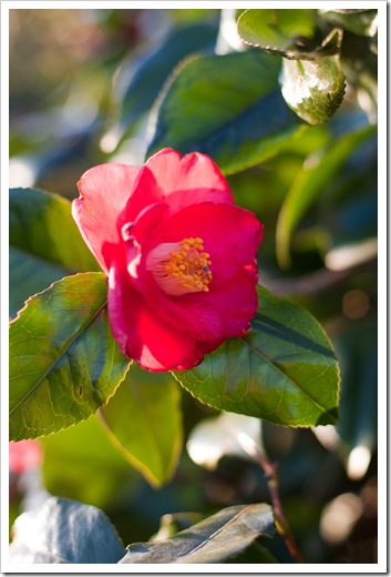 IMG_2152 IMG_2152