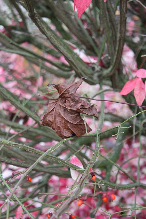 [DPP_00012300[6].jpg]