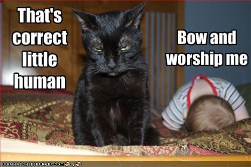 [funny-pictures-cat-demands-that-baby-worship-him[1].jpg]