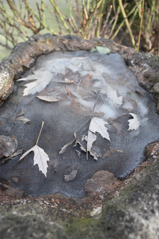 [DPP_00012357[10].jpg]