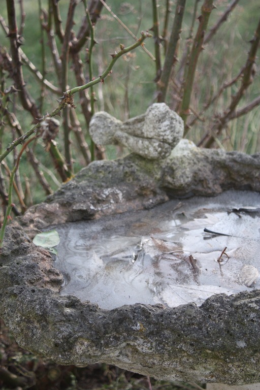 [DPP_00012366[9].jpg]