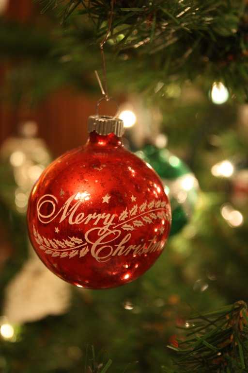 [DPP_00012362[7].jpg]