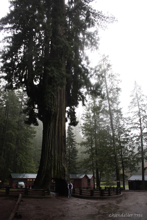 [DPP_00012523[13].jpg]