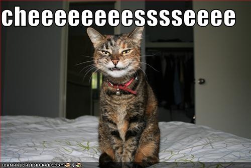 [funnypicturescatsayscheeseawkwardly3.jpg]