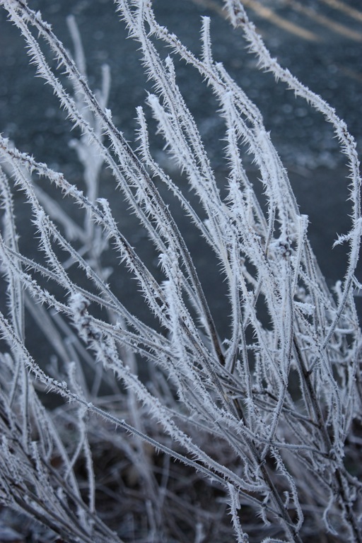 [DPP_00012633[6].jpg]