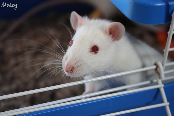 [DPP_0001273513.jpg]