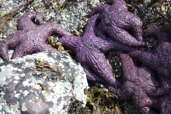 [DPP_00013630[5].jpg]