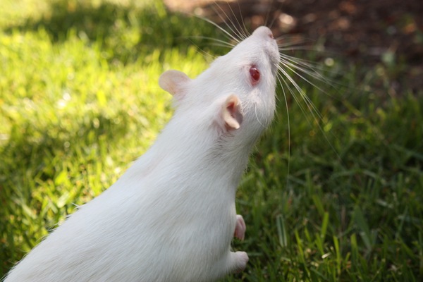 [DPP_00013693[5].jpg]