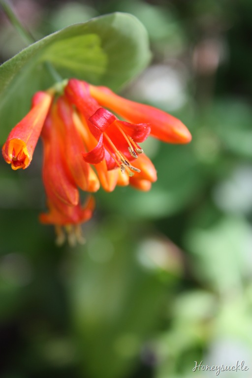 [DPP_00014333[6].jpg]