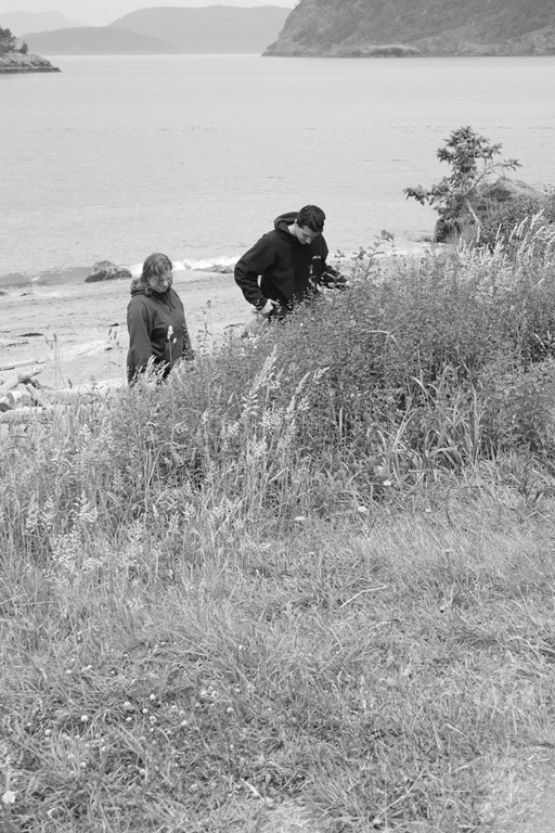 [DPP_00014417[8].jpg]