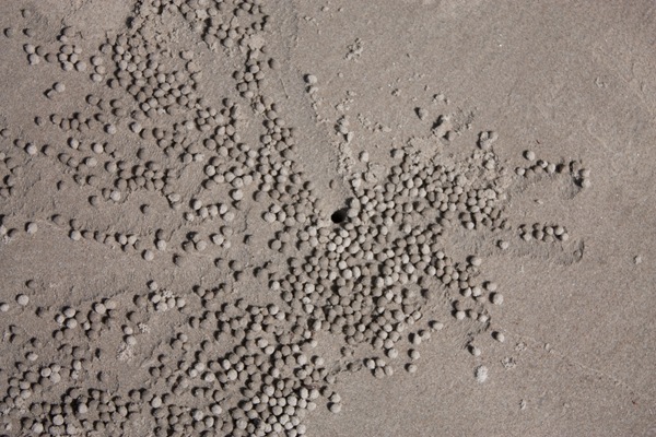 [20100516IMG_00442.jpg]