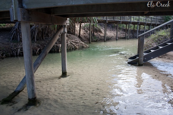 [20100511-IMG_8865[7].jpg]