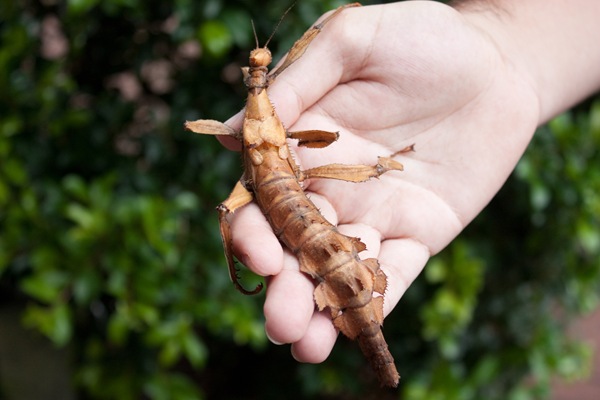 [20100514-IMG_9586[2].jpg]