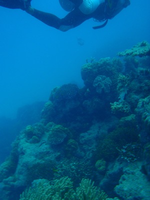 [20100515--F 054[3].jpg]