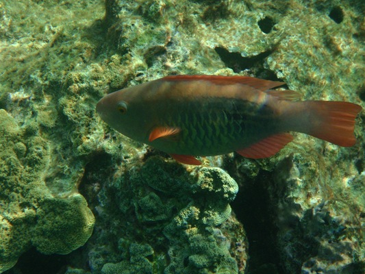 [20100515--F 212[2].jpg]