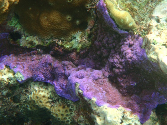 [20100515--F 256[2].jpg]