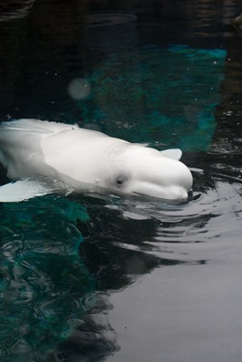 [20101026-IMG_3426[3].jpg]