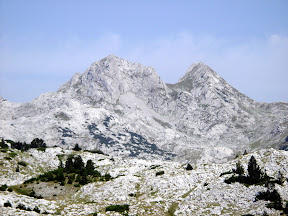 ZELENA GLAVA I OTIŠ