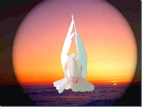 http://lh4.ggpht.com/_QFZkm9N2aYw/SiL5Iwv6QqI/AAAAAAAAIMY/DQhHBL1I9JA/ESP%C3%8DRITU%20SANTO_thumb%5B4%5D.jpg