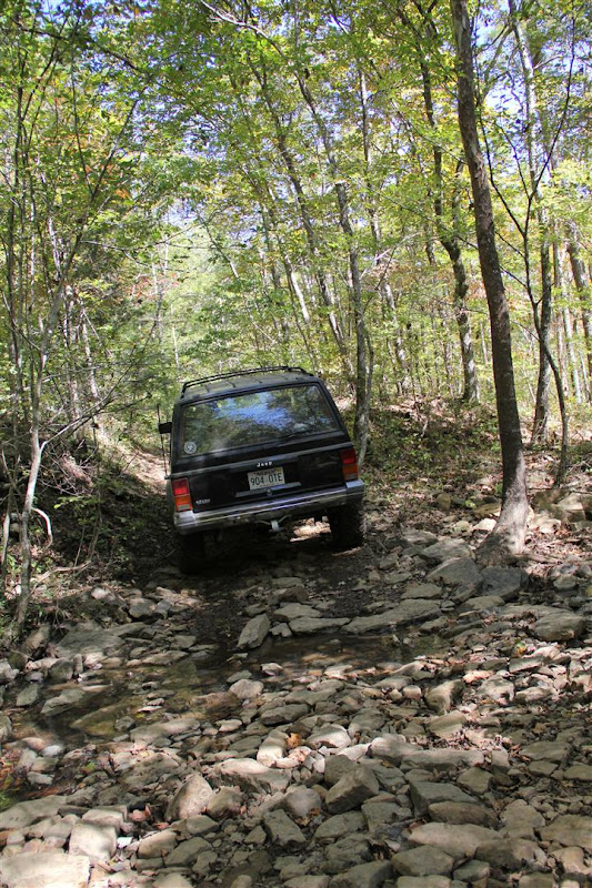 IMG_5523%20%28Large%29.JPG