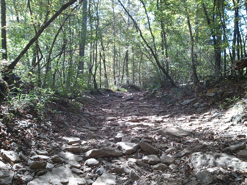 2010-10-05%2011.36.59.jpg