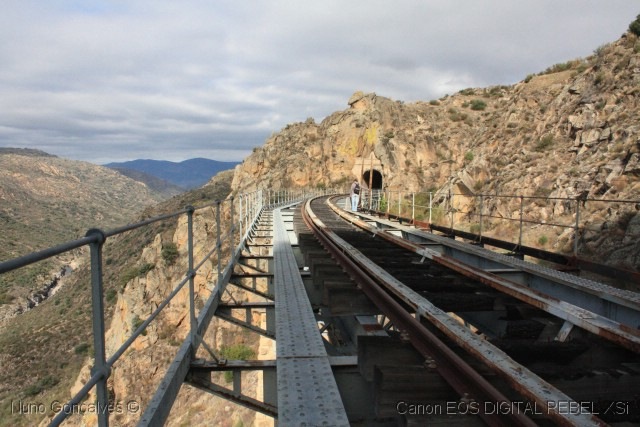 [WM - IMG_8449 - r[3].jpg]