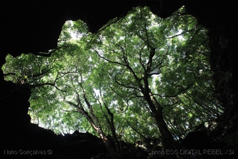 [[43]_Entrada_Gruta[9].jpg]